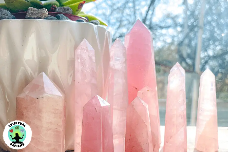 rose quartz crystals
