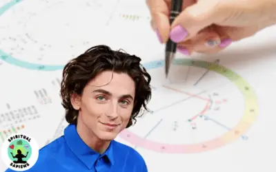 Timothée Chalamet – Full And Extended Birth Chart