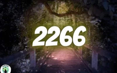 Guide To Seeing The Number 2266 Everywhere (Angel Numbers)