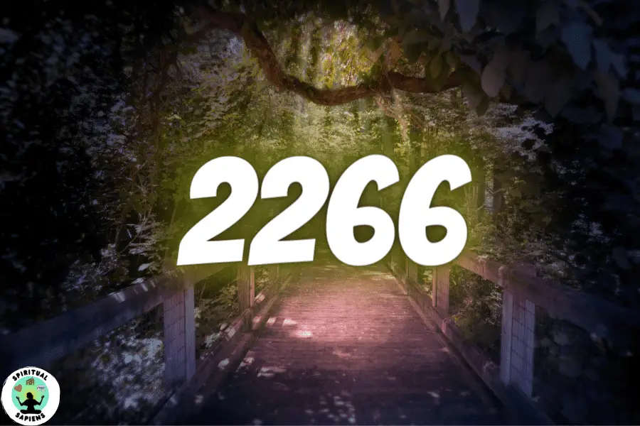 Guide To Seeing The Number 2266 Everywhere (Angel Numbers)