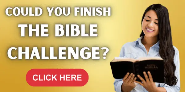 Bible challenge 